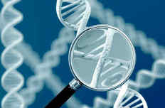 Генетика и генетические заболевания